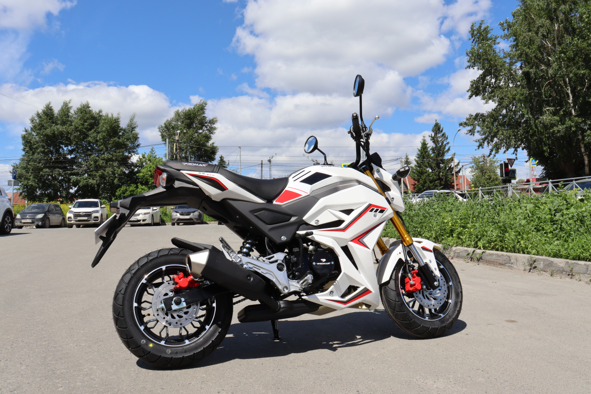 Мотоцикл PROMAX STRYKER 200(49) 2.0 в Севастополе