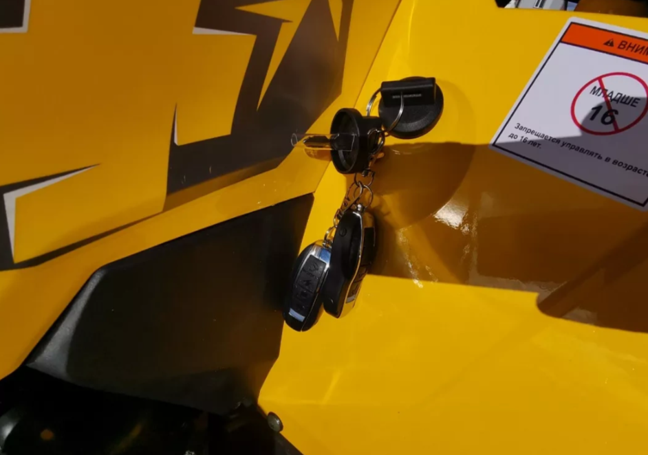 Квадроцикл MOTOLAND (МОТОЛЕНД) VOX200 WILD TRACK X PRO (баланс. вал) в Севастополе