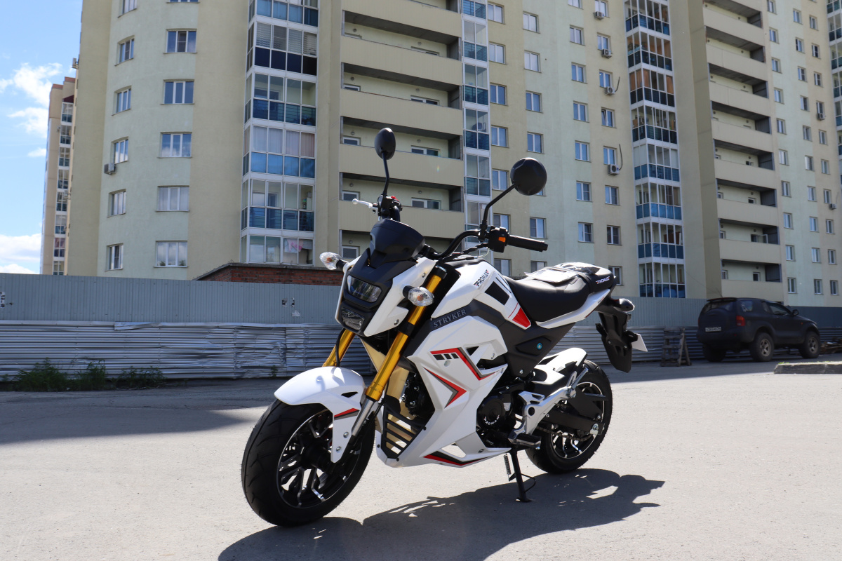 Мотоцикл PROMAX STRYKER 200(49) 2.0 в Севастополе