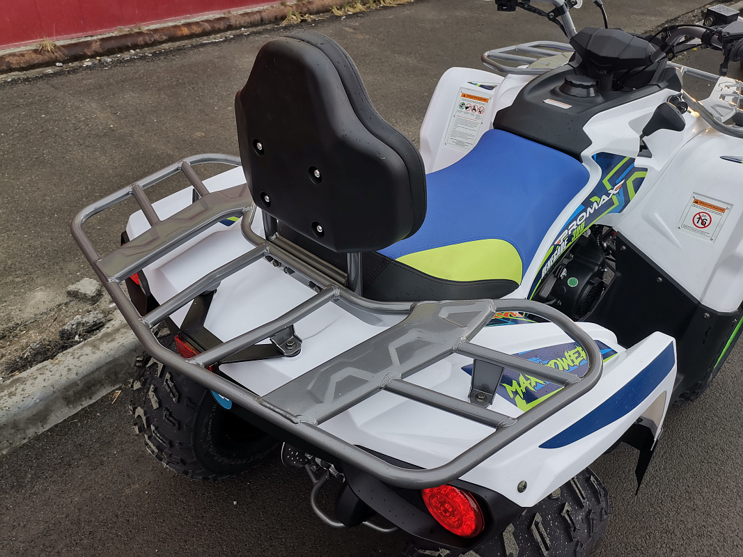 Квадроцикл PROMAX RENEGADE 280 LUX (2025) в Севастополе
