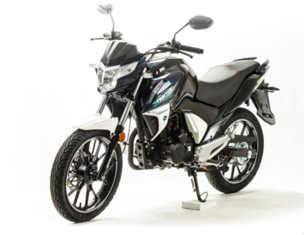 Мотоцикл MOTOLAND (МОТОЛЕНД) FIGHTER 250 в Севастополе