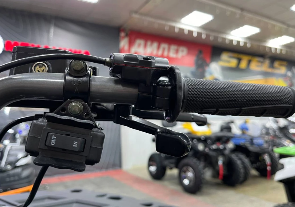 Квадроцикл PROMAX RENEGADE 300 LONG WINCH PRO (2025) в Севастополе