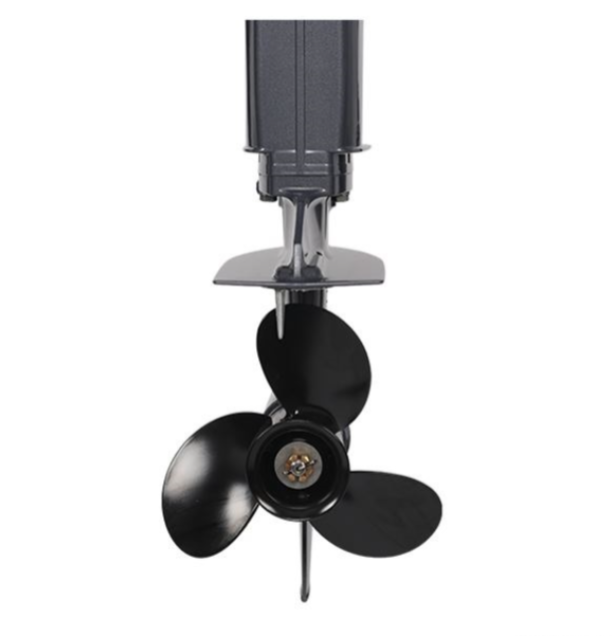 Лодочный мотор ALLFA CG Т40FW S в Севастополе