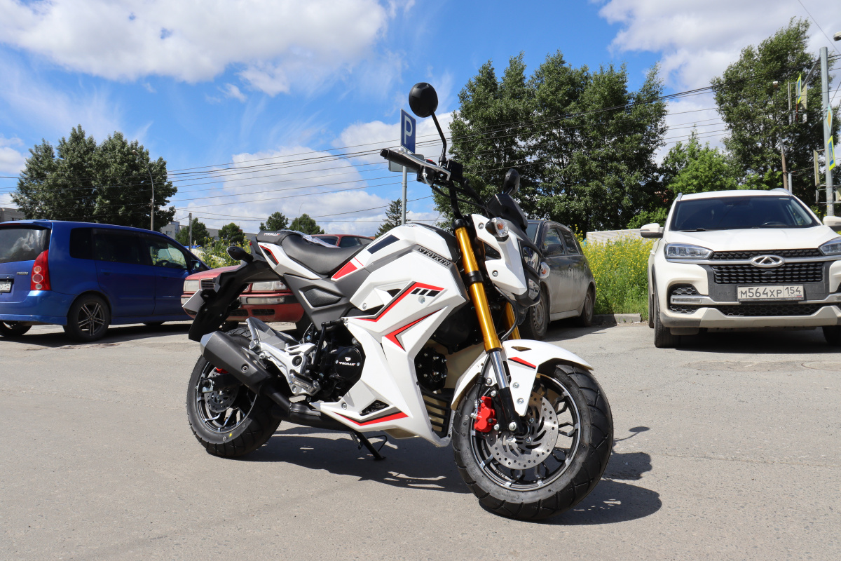 Мотоцикл PROMAX STRYKER 200(49) 2.0 в Севастополе