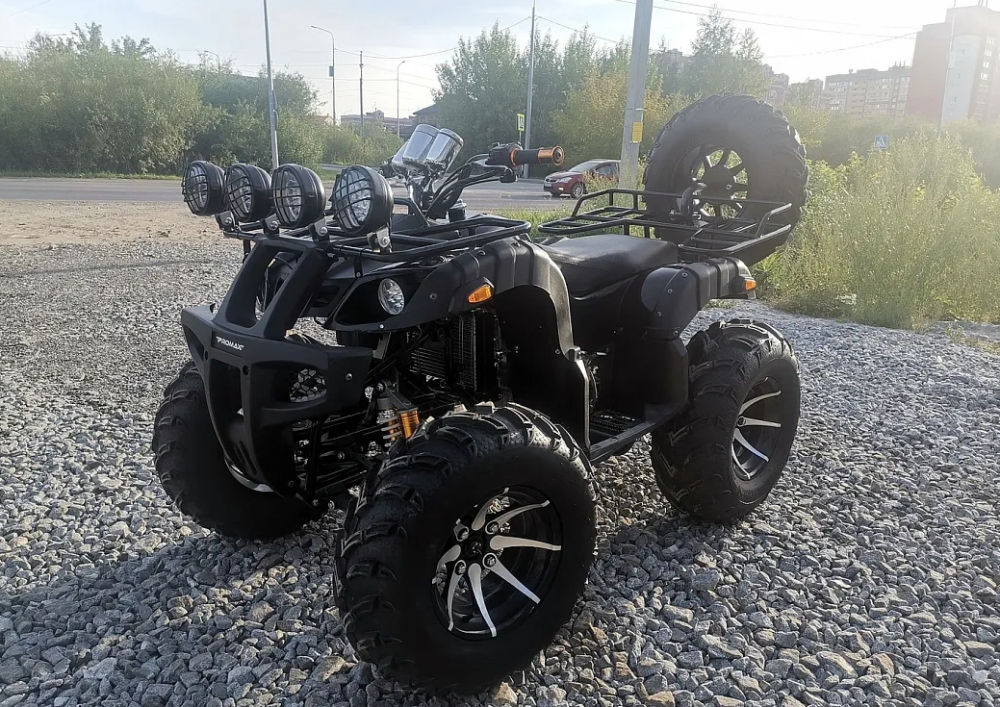 Квадроцикл PROMAX LEO 300 Max (кардан) в Севастополе