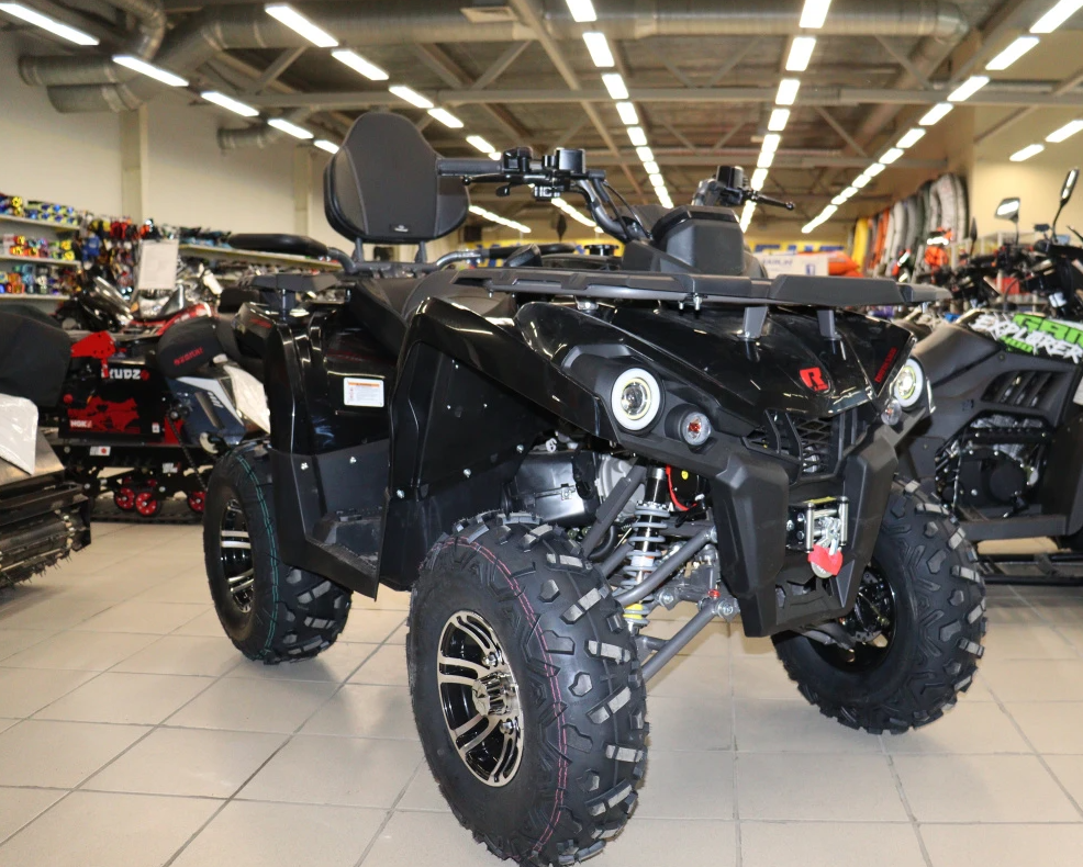 Квадроцикл PROMAX RENEGADE 300 LONG WINCH PRO (2025) в Севастополе