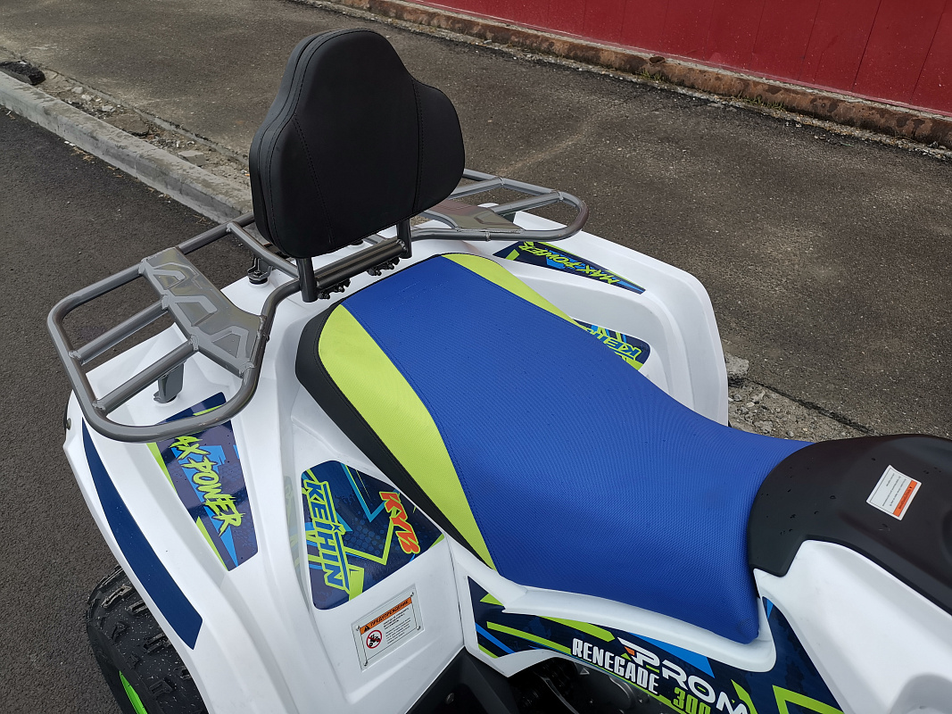 Квадроцикл PROMAX RENEGADE 280 LUX (2025) в Севастополе
