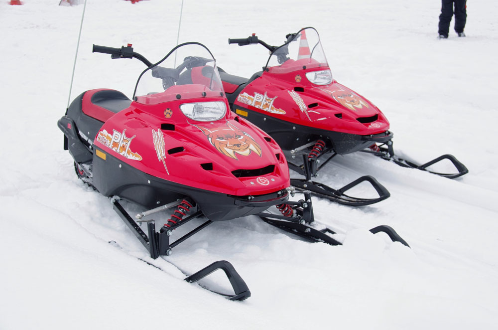 Снегоход РМ ТАЙГА РЫСЬ в Севастополе