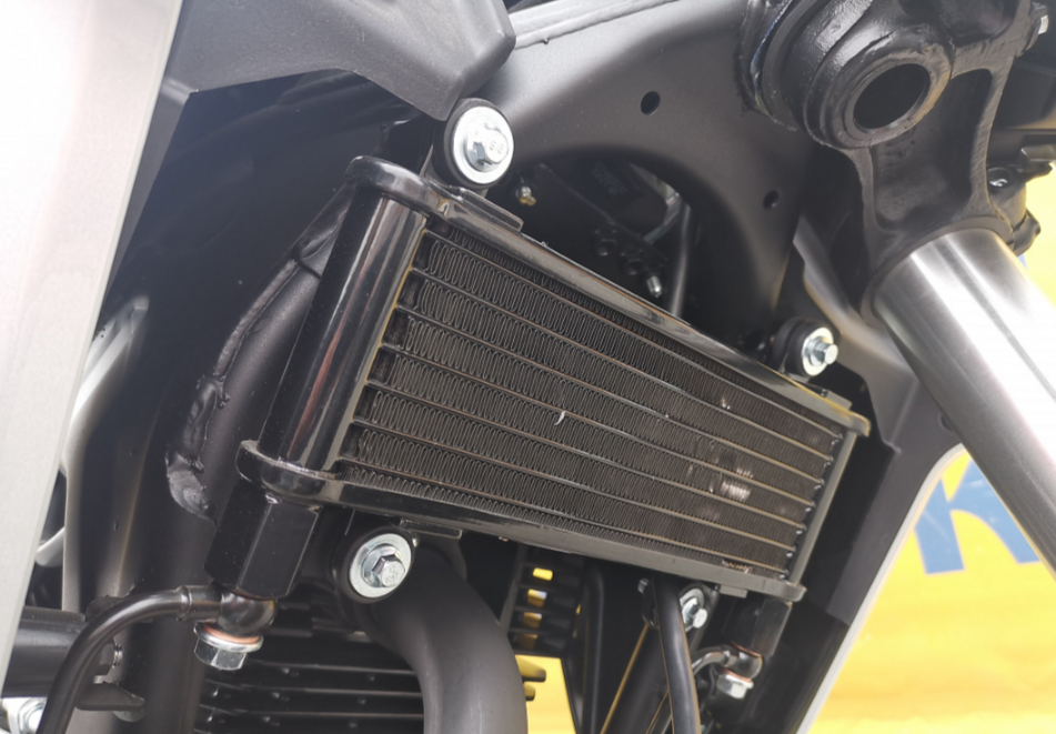 Мотоцикл MOTOLAND (МОТОЛЕНД) 250 CB250 (172FMM-5/PR250) (2022 г.) в Севастополе