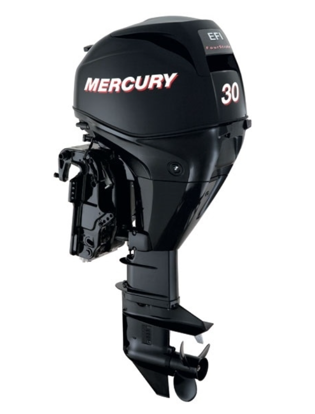 ЛОДОЧНЫЙ МОТОР MERCURY  F 30 ELH GA EFI в Севастополе