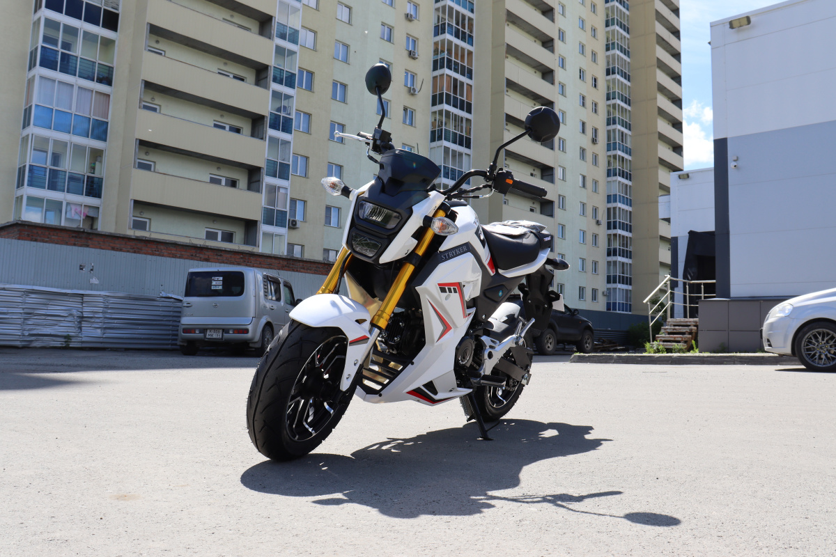 Мотоцикл PROMAX STRYKER 200(49) 2.0 в Севастополе
