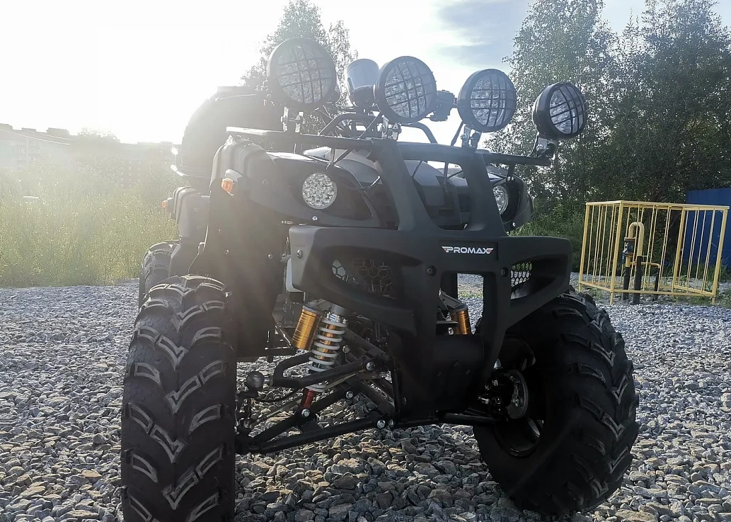 Квадроцикл PROMAX LEO 300 Max (кардан) в Севастополе