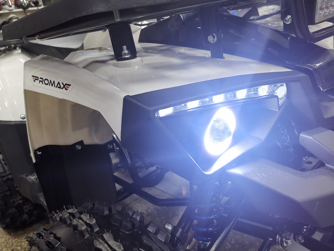 Квадроцикл PROMAX WILD 175 LUX в Севастополе