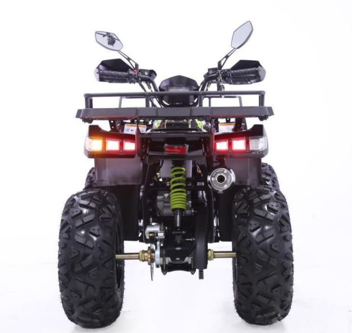 Квадроцикл YACOTA WARRIOR 200 PRO в Севастополе