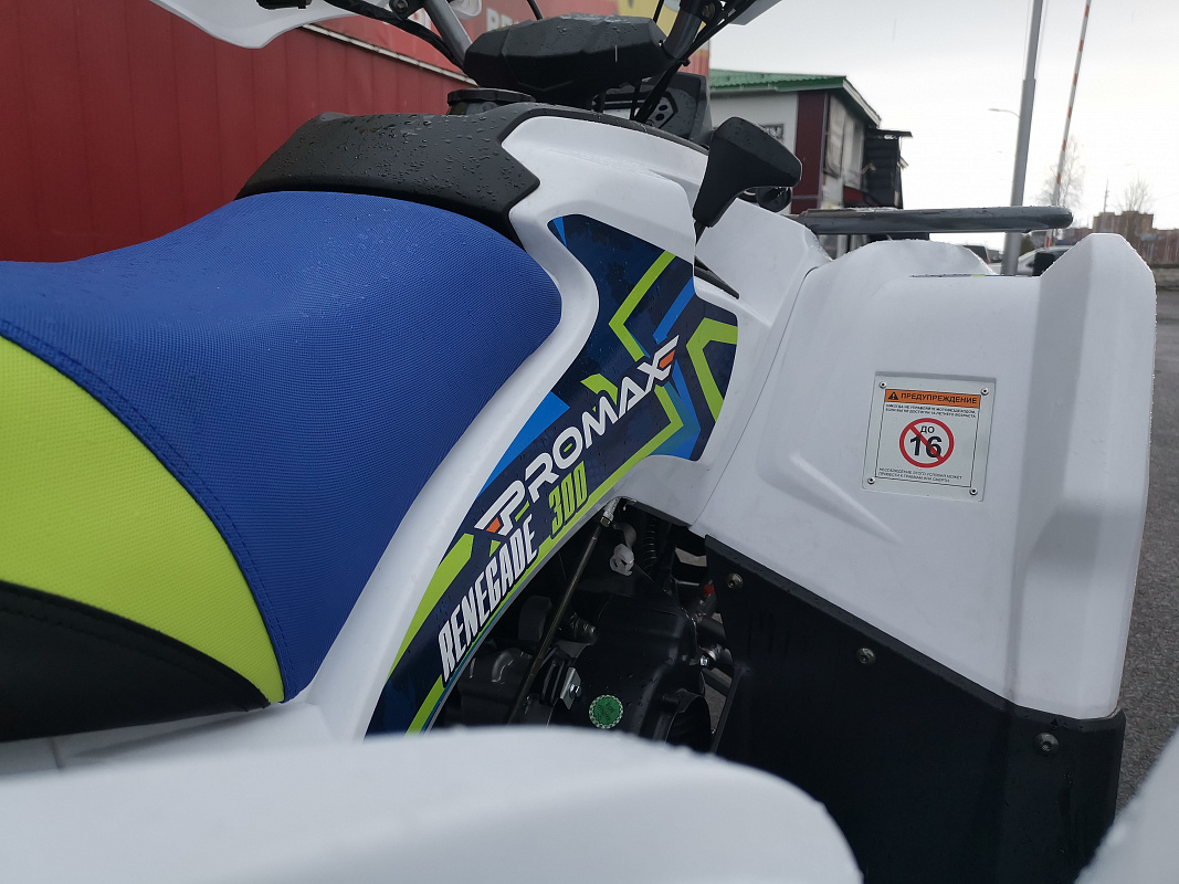 Квадроцикл PROMAX RENEGADE 280 LUX (2025) в Севастополе