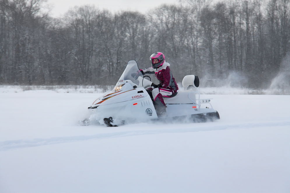 СНЕГОХОД РМ ТАЙГА ПАТРУЛЬ 551 SWT в Севастополе