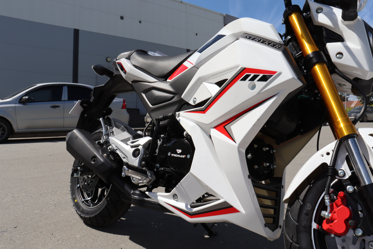 Мотоцикл PROMAX STRYKER 200(49) 2.0 в Севастополе