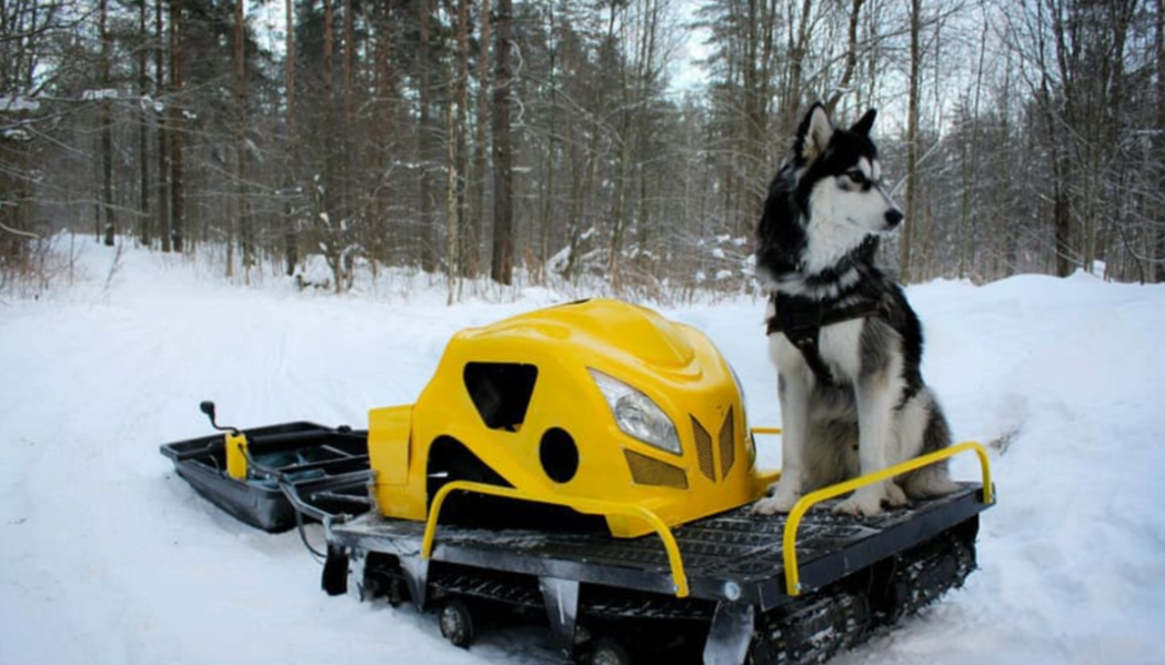 Мотобуксировщик LEBEDEV MOTORS ВОЛКОДАВ POWER V13 в Севастополе