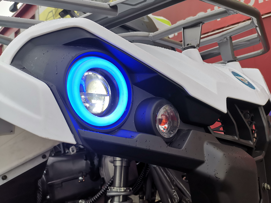 Квадроцикл PROMAX RENEGADE 280 LUX (2025) в Севастополе