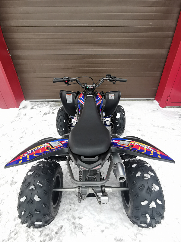 Квадроцикл PROMAX RAPTOR 300 NEW RedBull в Севастополе