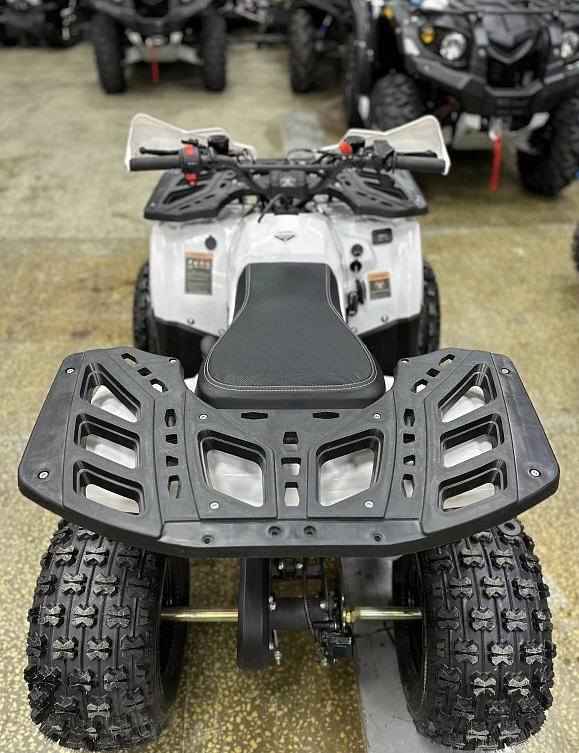 Квадроцикл PROMAX WILD 2.0 190 в Севастополе