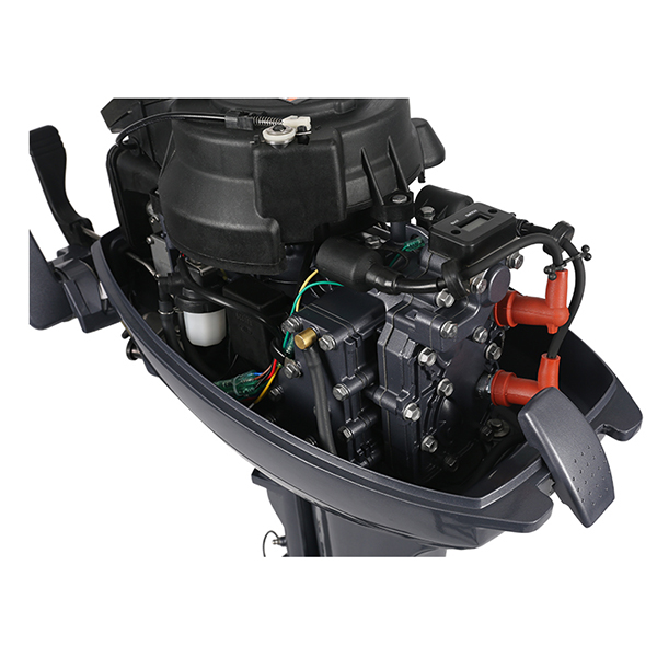 ЛОДОЧНЫЙ МОТОР ALLFA CG Т9,9 Limit в Севастополе