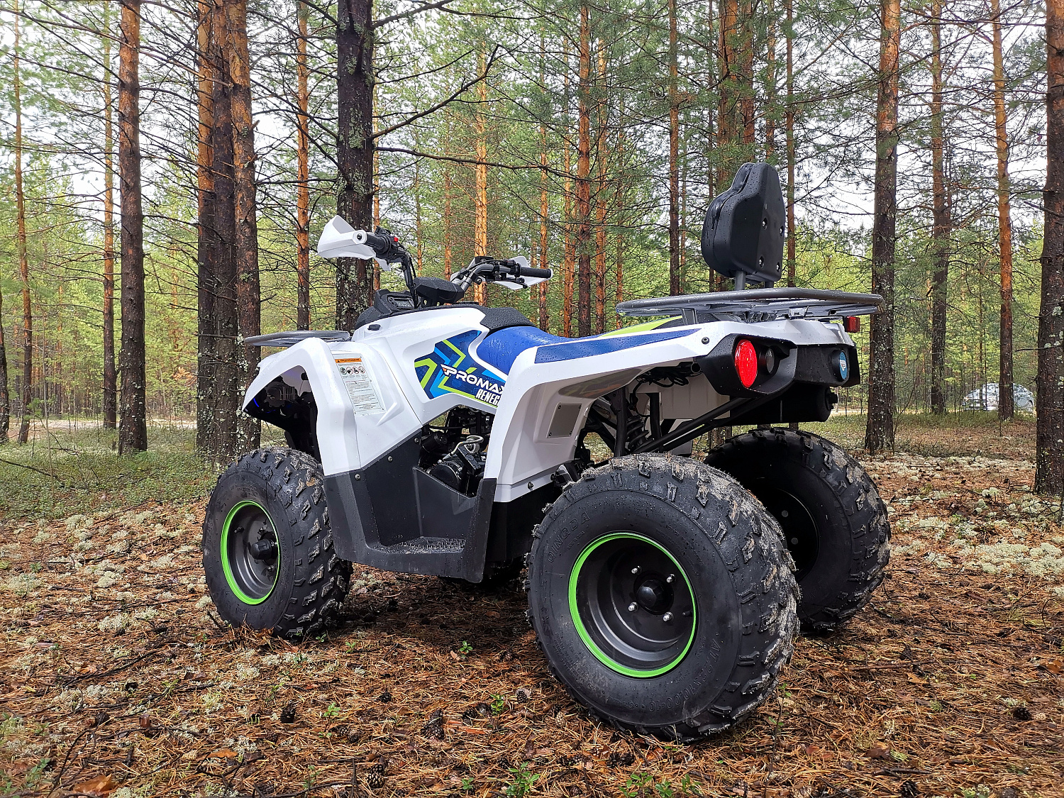 Квадроцикл PROMAX RENEGADE 280 (2025) в Севастополе