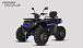 Квадроцикл PROMAX TAURUS 300 MAX-PRO LONG в Севастополе