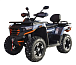 Квадроцикл MOTOLAND (МОТОЛЕНД) 300 MAX X в Севастополе