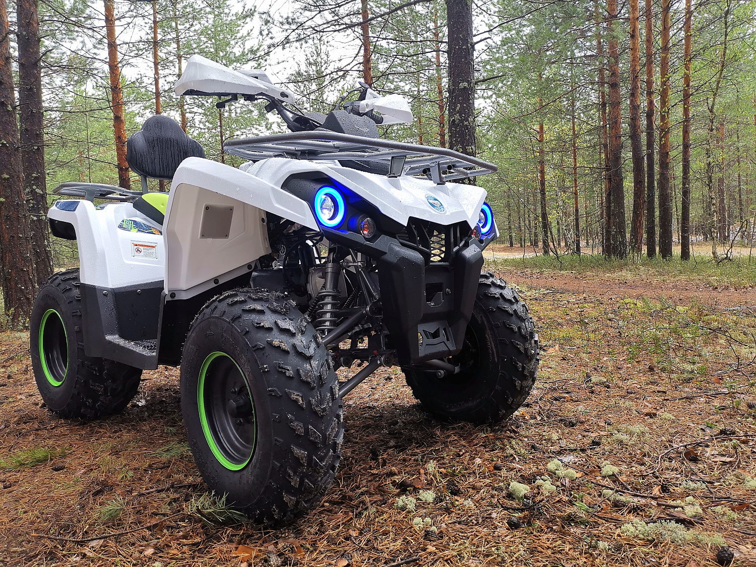 Квадроцикл PROMAX RENEGADE 280 (2025) в Севастополе