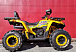 Квадроцикл PROMAX STORM 280 LUX в Севастополе