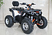 Квадроцикл GBM STORMRIDER 220 PREMIUM в Севастополе