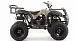 Квадроцикл MOTOLAND (МОТОЛЕНД) 200 ALL ROAD в Севастополе