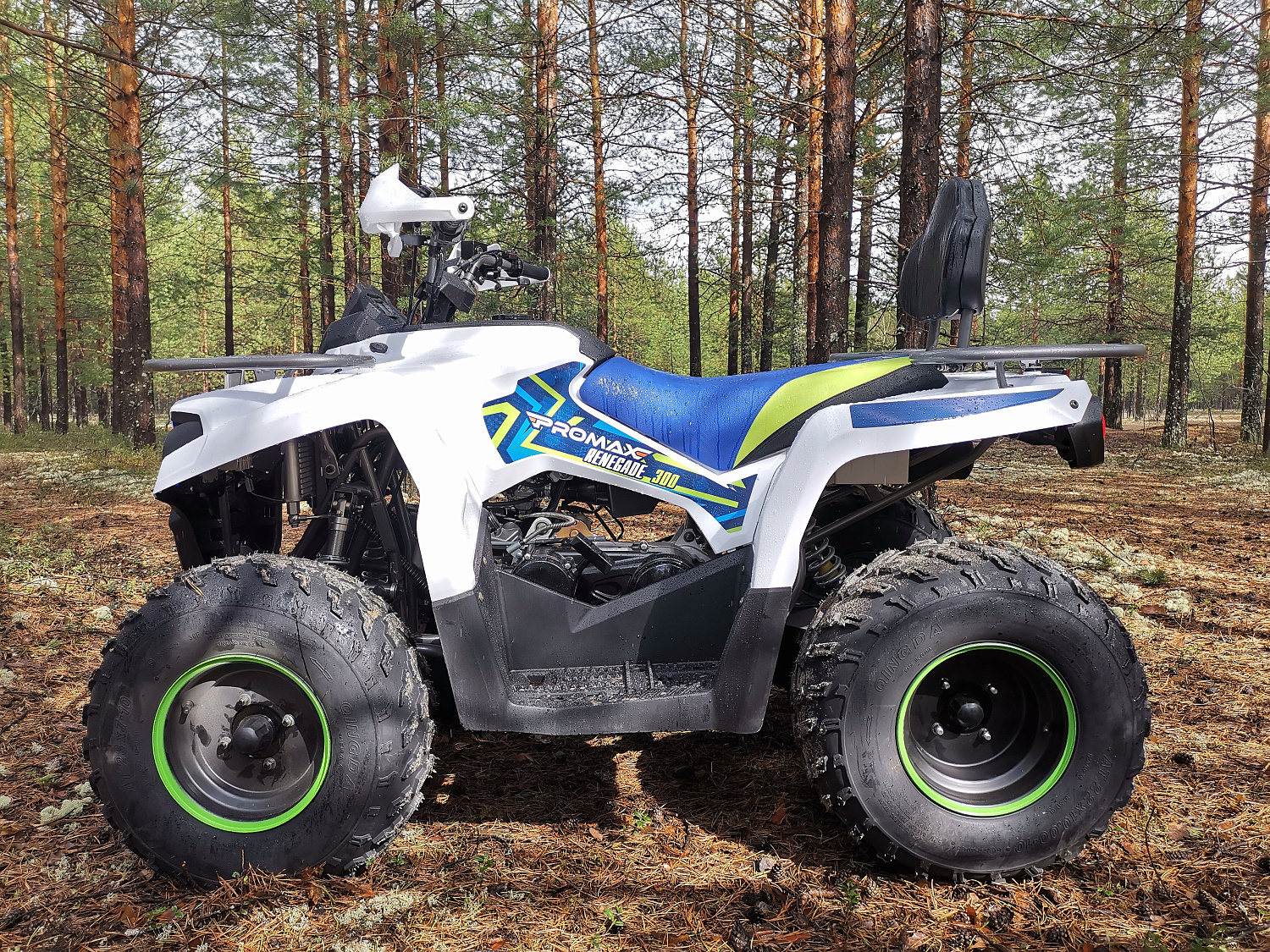 Квадроцикл PROMAX RENEGADE 280 (2025) в Севастополе