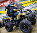 Квадроцикл PROMAX ATV 250 (2025) в Севастополе