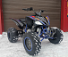 Квадроцикл PROMAX RAPTOR 300 NEW RedBull в Севастополе