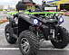 Квадроцикл PROMAX RENEGADE 280 WINCH PRO (2025) в Севастополе
