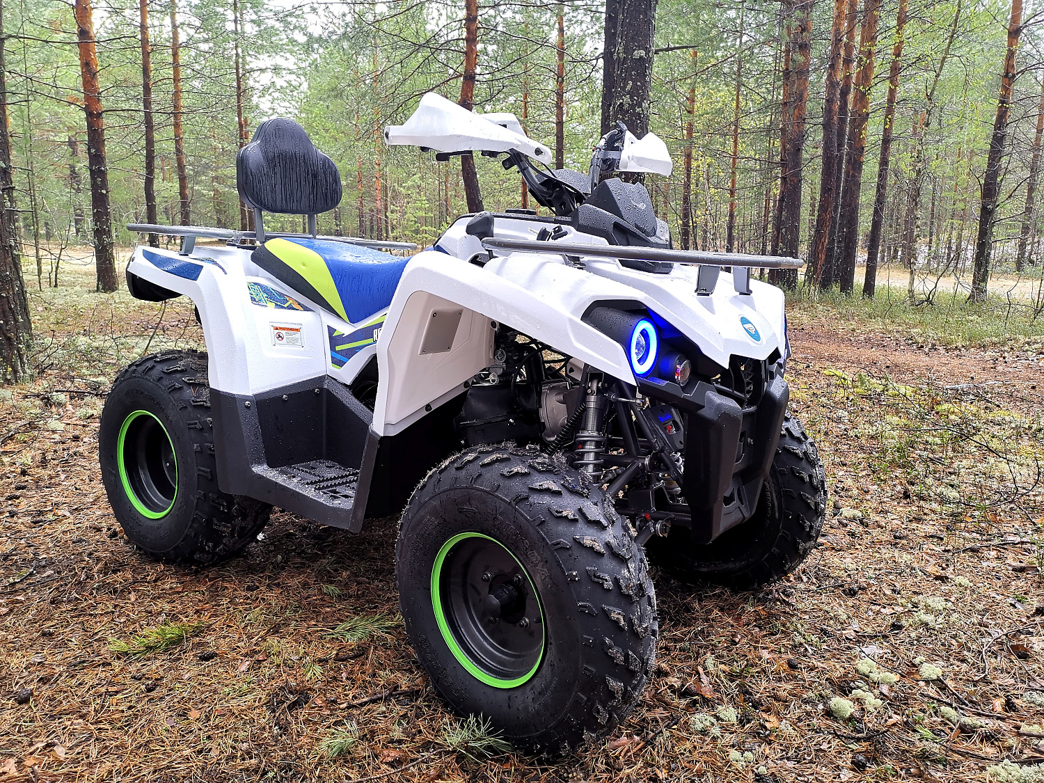 Квадроцикл PROMAX RENEGADE 280 (2025) в Севастополе