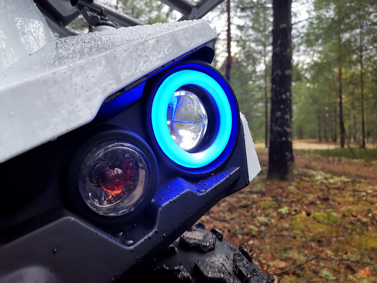 Квадроцикл PROMAX RENEGADE 280 (2025) в Севастополе