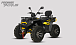 Квадроцикл PROMAX TAURUS 300 MAX-PRO LONG в Севастополе